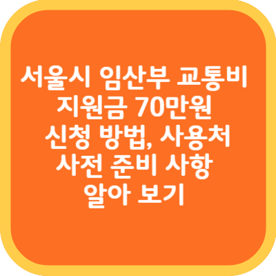 서울시 임산부 교통비  지원금 70만원 신청방법, 사용처, 사전 준비 사항 알아 보기 썸네일
